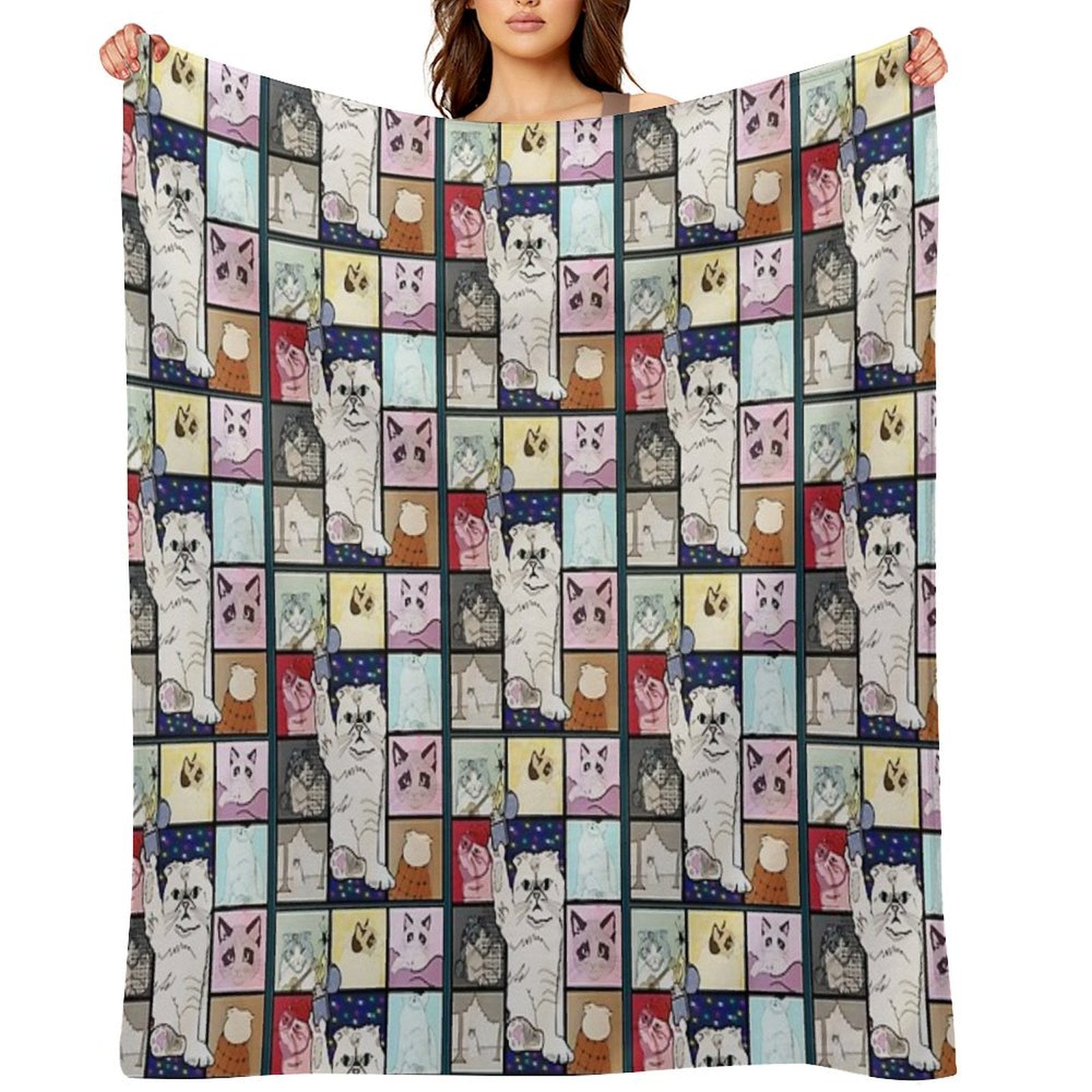The Eras Tour Cat Version Plush Throw Blanket
