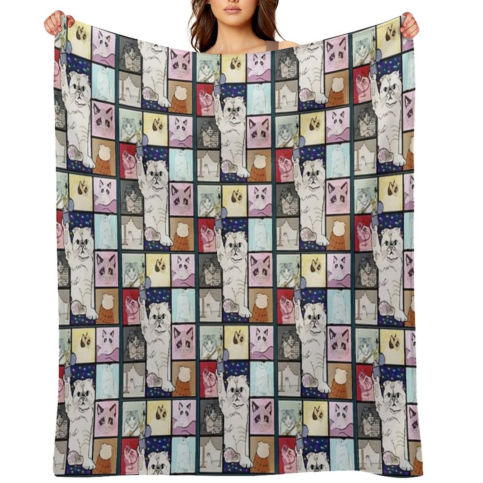 The Eras Tour Cat Version Plush Throw Blanket