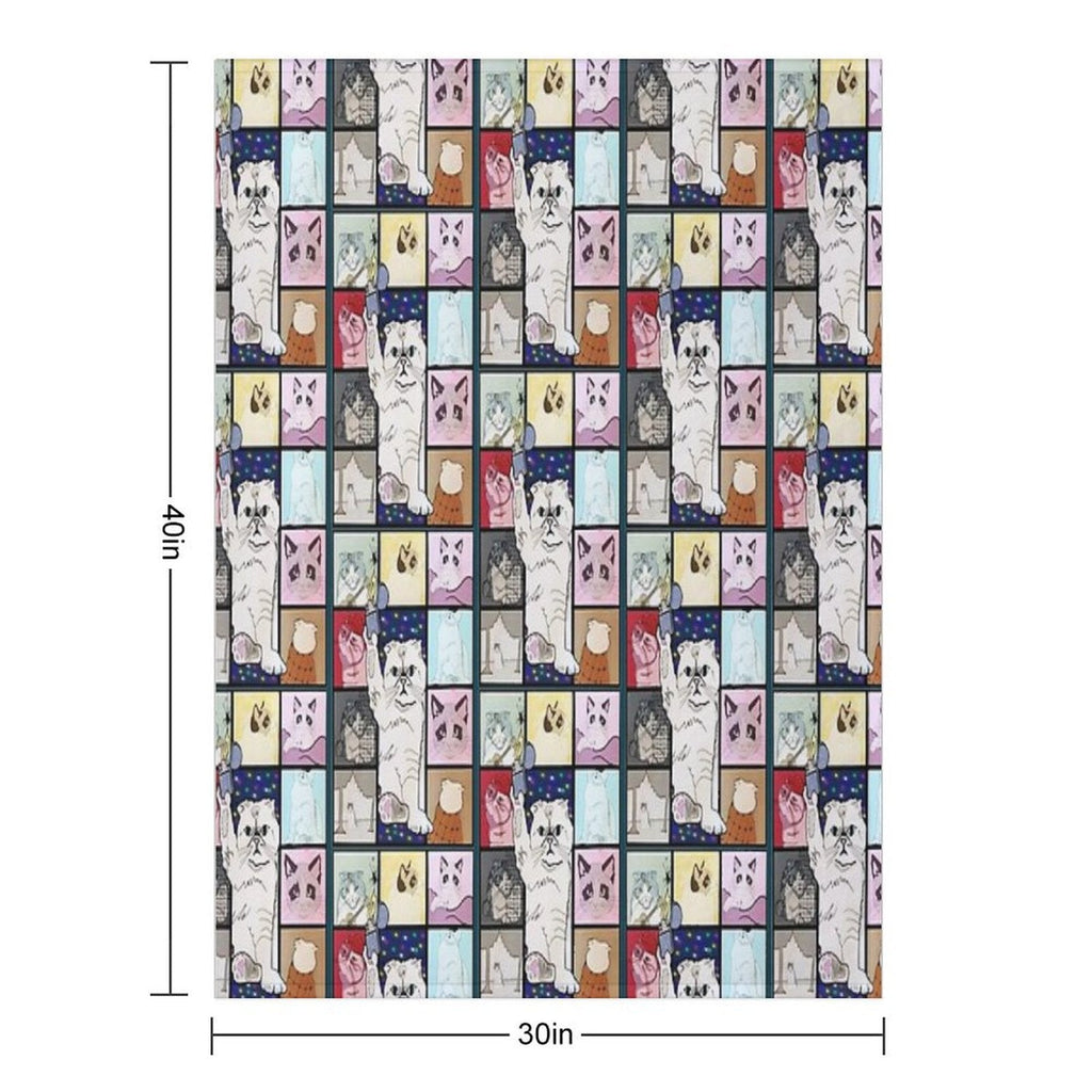 The Eras Tour Cat Version Plush Throw Blanket