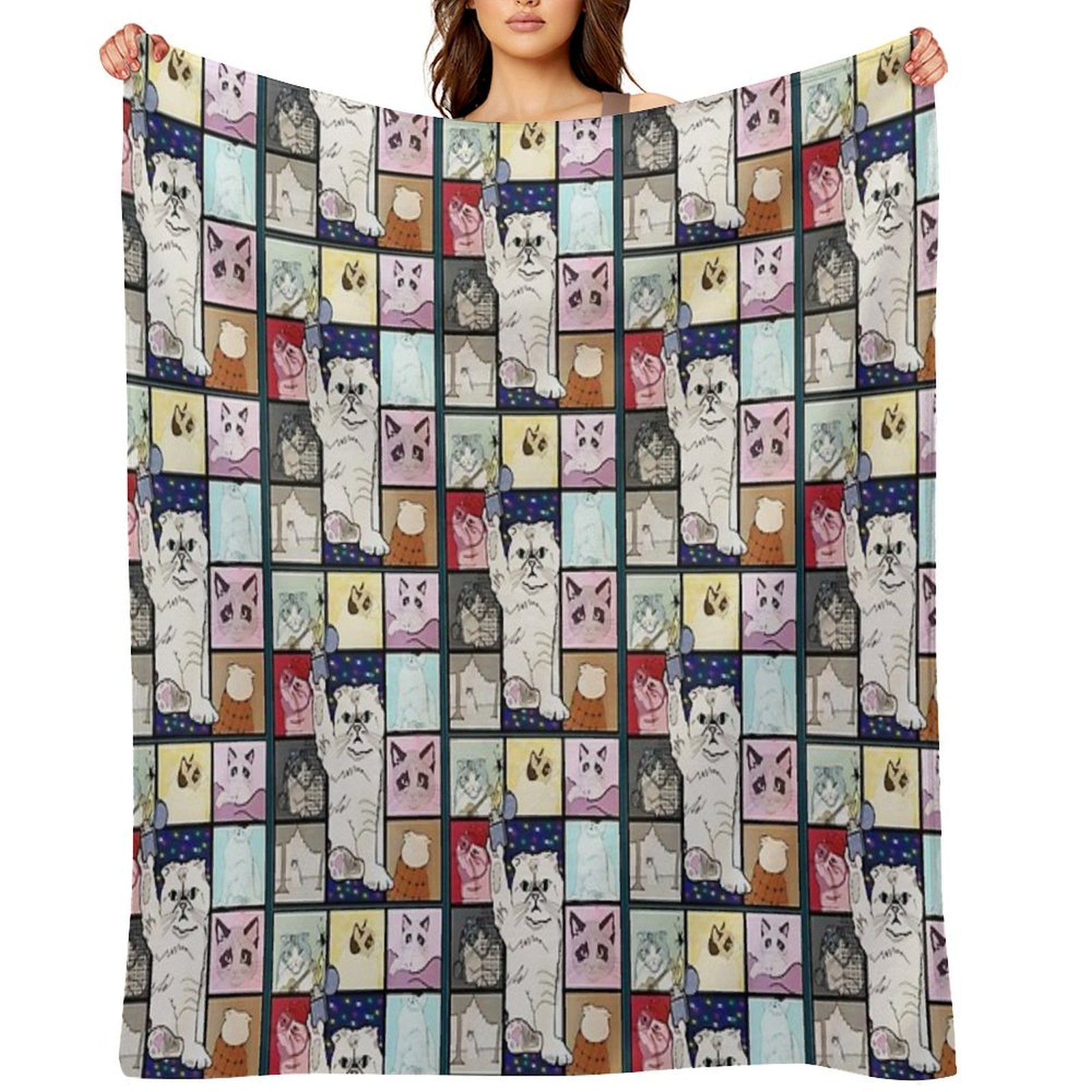 The Eras Tour Cat Version Plush Throw Blanket